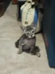 Docinho e lindinha ??