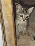Docinho e lindinha ??