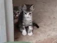 Docinho e lindinha ??