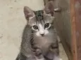 Docinho e lindinha ??