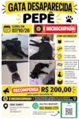 Pepê