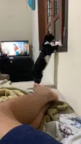 Pandora