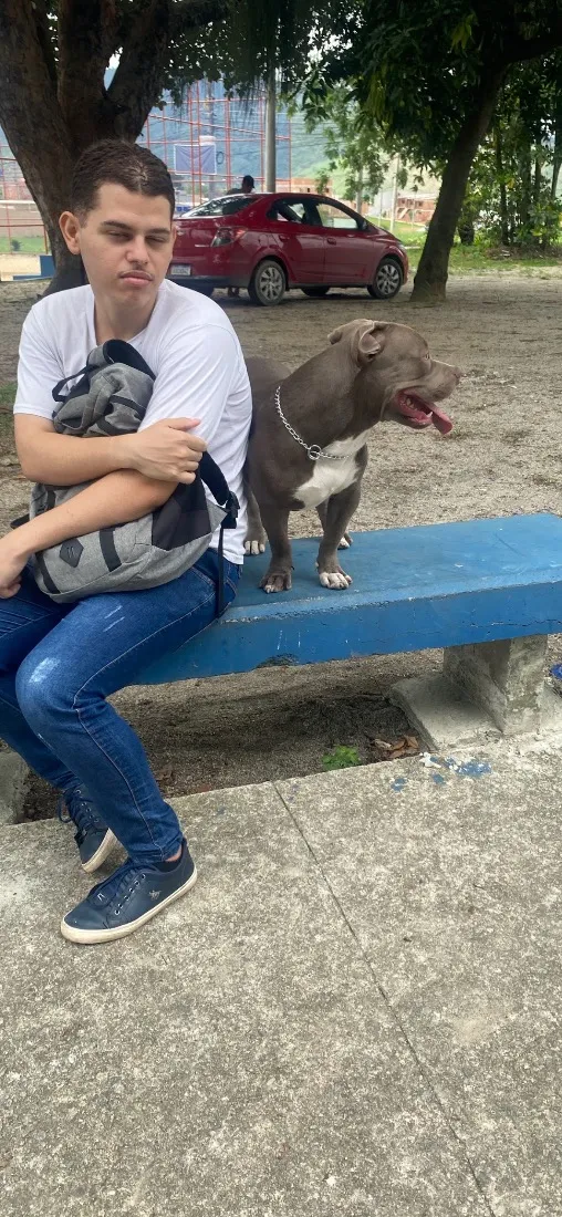 Cachorro raça SRD-ViraLata idade 3 anos nome Bruce