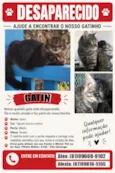 Gatinho