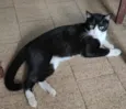 TOM perdido em Coronel Fabriciano centro