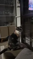 Mia