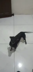 Lupy