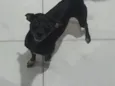 Lupy