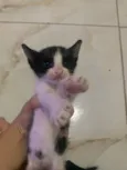 Ainda não tem
