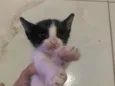 Ainda não tem