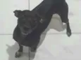 Lupy