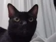 Pepê