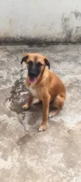Spike