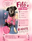Filó