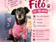 Filó