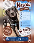 Nescau