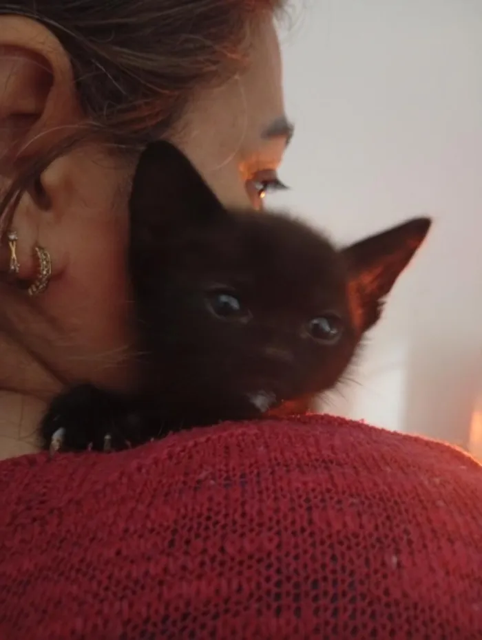 Gato raça SRD-ViraLata idade Abaixo de 2 meses nome Pretinho
