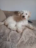 Nina