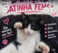 Belinha