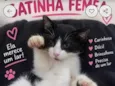 Belinha