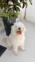 Nina