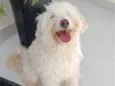 Nina