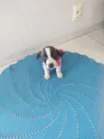 Beethoven
