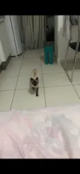 Não tem ainda 