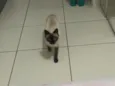 Não tem ainda 