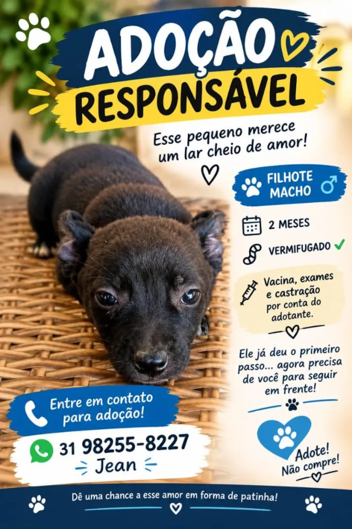 Cachorro raça SRD-ViraLata idade 2 a 6 meses nome Thor