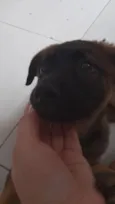 Bella