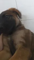 Bella