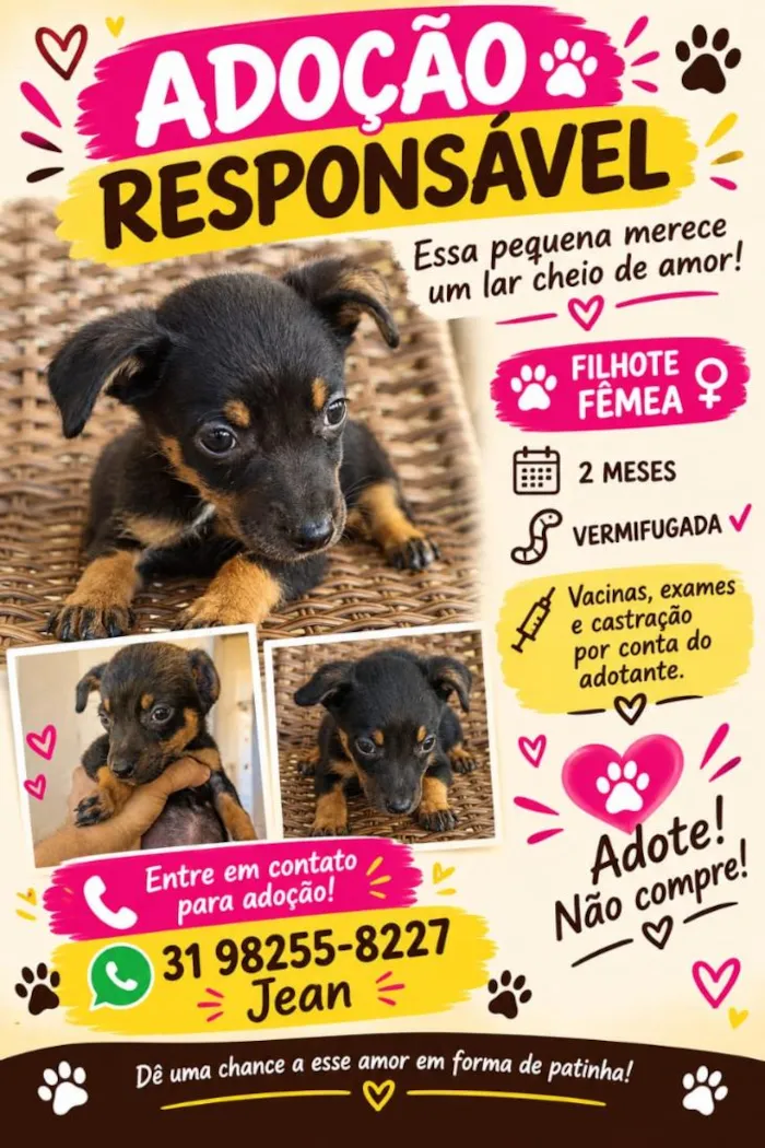 Cachorro raça SRD-ViraLata idade 2 a 6 meses nome Rosalina