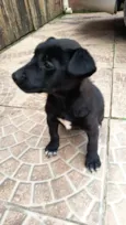 princesa 