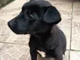 princesa 
