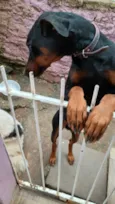 titã 