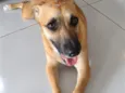Skye