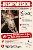 Sirce