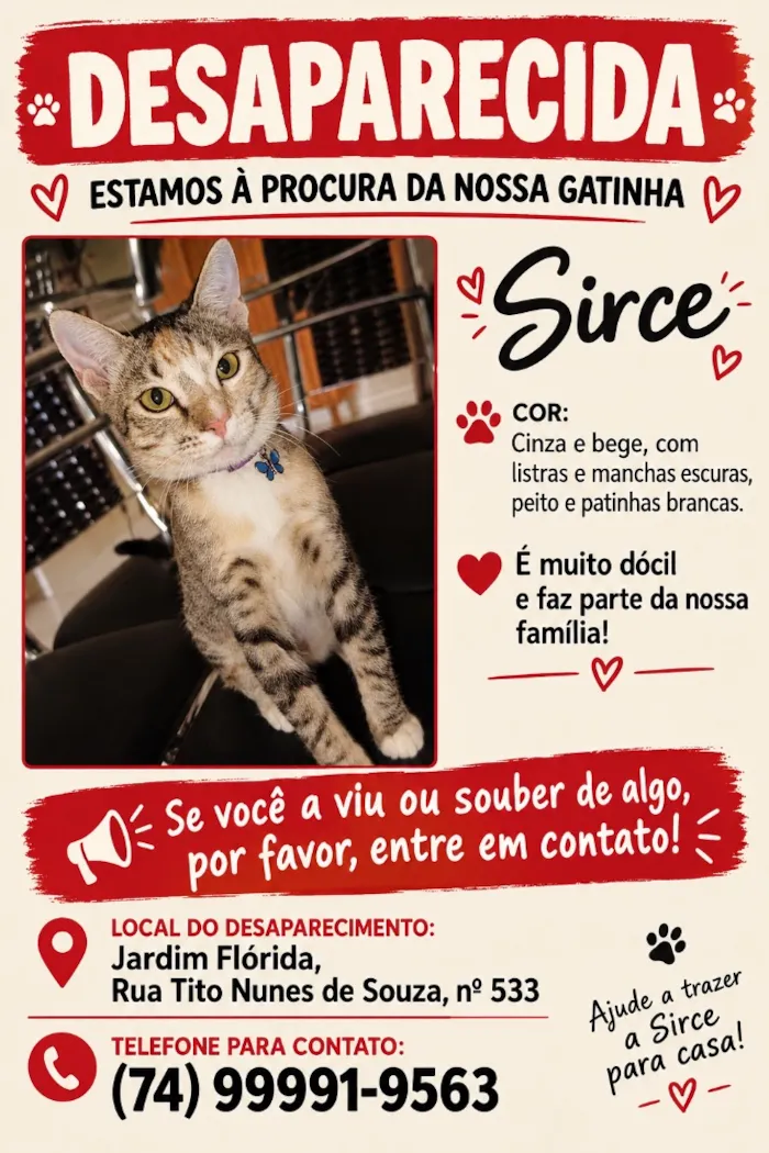 Gato raça SRD-ViraLata idade 7 a 11 meses nome Sirce