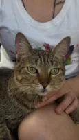 S.N