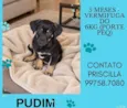 Pudim