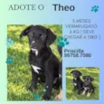 Théo