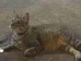 S.N