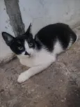 Téo 