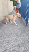 Bili