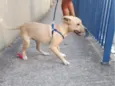 Bili