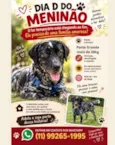 Meninão