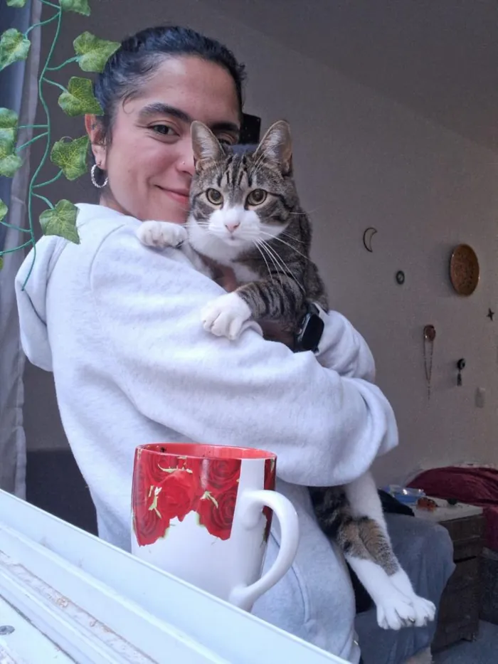 Gato raça SRD-ViraLata idade 2 anos nome Muqueca