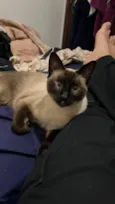 Ellie