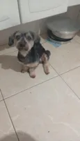 marley
